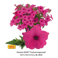 Петуния Vista Fuchsia Improved